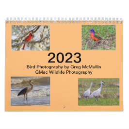 Texas-Vogelkalender 2023 Kalender