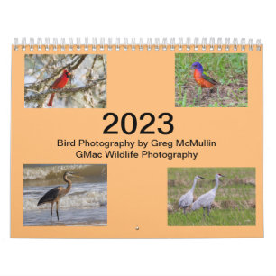 Texas-Vogelkalender 2023 Kalender