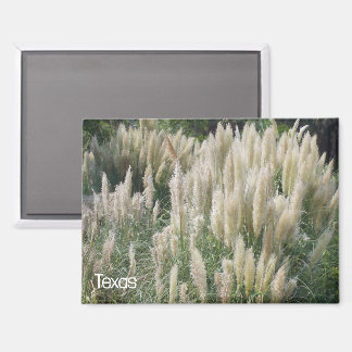 Texas Wild Blume Magnet