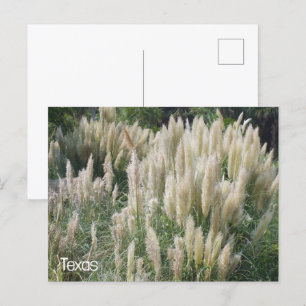 Texas Wild Blume Postkarte