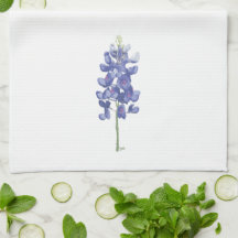 Texas-Wildblume Bluebonnet