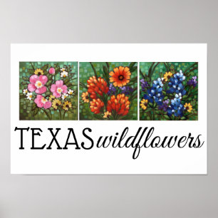 "Texas Wildblumen" 16,5" x 11" Poster