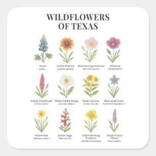 Texas-Wildblumen im Wasserfarbenstil Quadratischer Aufkleber