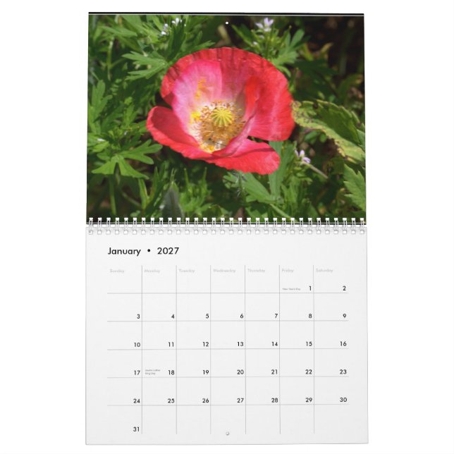 Texas-Wildblumen Kalender (Jan 2027)