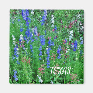 Texas Wildblumen Magnet