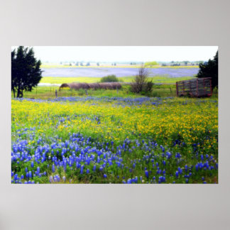 Texas-Wildblumen Poster