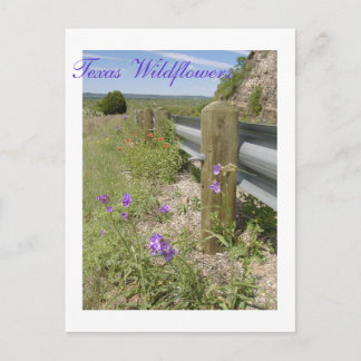 Texas-Wildblumen Postkarte
