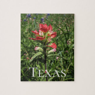 Texas-Wildblumen Puzzle