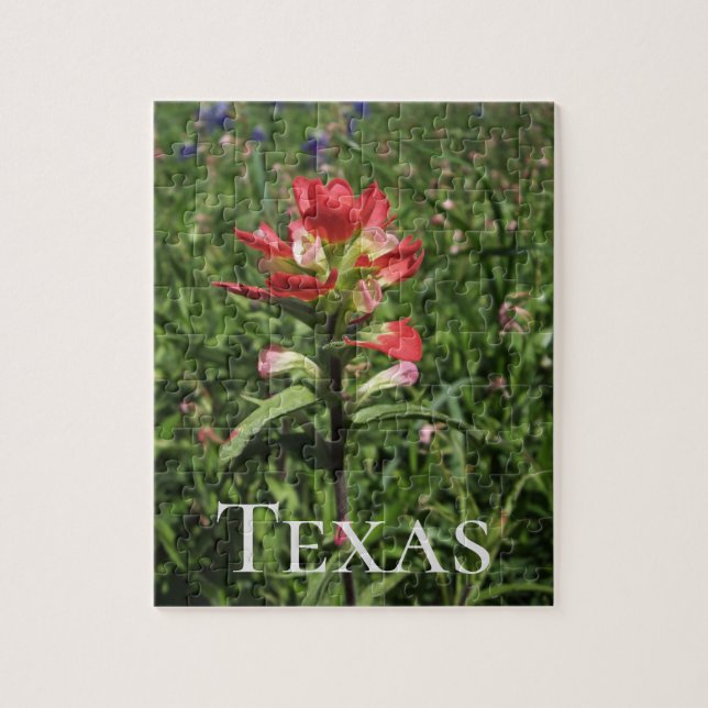 Texas-Wildblumen Puzzle (Vertikal)