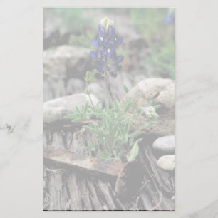 TexasBluebonnet Briefpapier