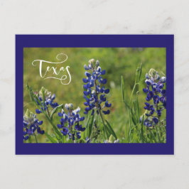 Texasbluebonnet-Postkarte Postkarte