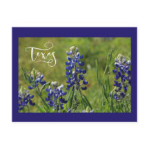 Texasbluebonnet-Postkarte