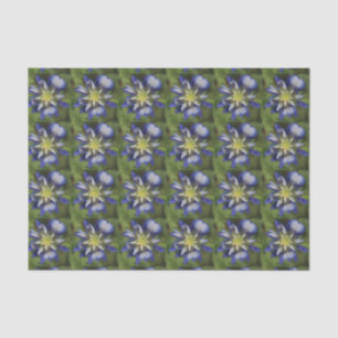 Texasbluebonnet-Seidenpapier Seidenpapier