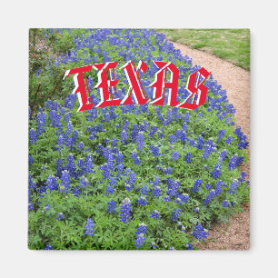Texasbluebonnetmagnet Magnet