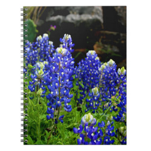Texasbluebonnets-Anmerkungs-Buch Notizblock
