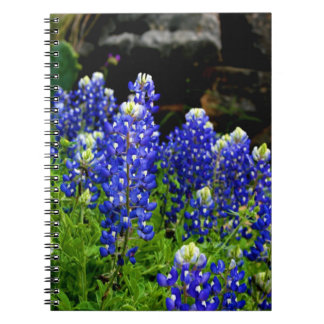 Texasbluebonnets-Anmerkungs-Buch Notizblock