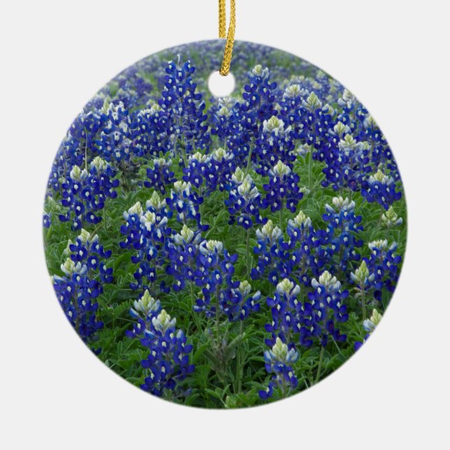 Texasbluebonnets-Feld-Foto Keramikornament (Vorne)