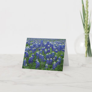 Texasbluebonnets-Foto-freier Raum Karte