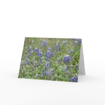 TexasBluebonnets