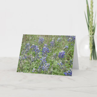 TexasBluebonnets Karte