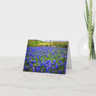 TexasBluebonnets Karte