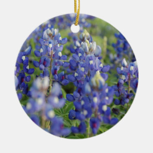 TexasBluebonnets Keramikornament