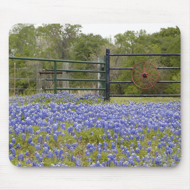 TexasBluebonnets Mousepad (Vorne)
