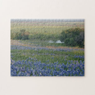 TexasBluebonnets Puzzle