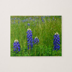 TexasBluebonnets Puzzle