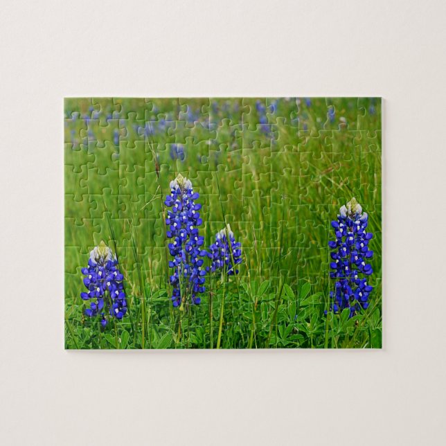 TexasBluebonnets Puzzle (Horizontal)