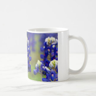 TEXASBLUEBONNETS TASSE