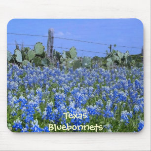 TexasBluebonnets u. -kaktus am Bauernhof Mousepad