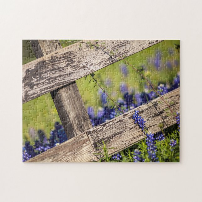 TexasBluebonnets um einen Land-Zaun Puzzle (Horizontal)