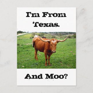 TexasLonghorn mit lustigem Texas-Sprichwort Postkarte