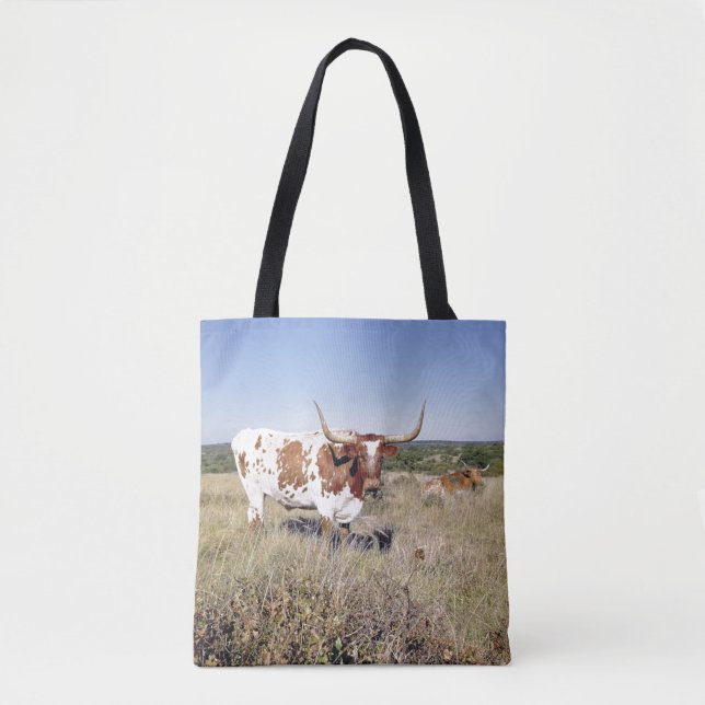 Texaslonghorn-Zucht (Foto) (Vorderseite)