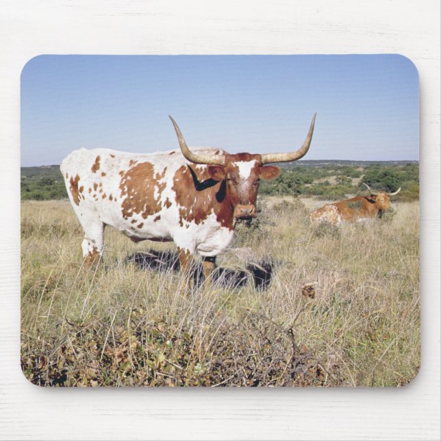 Texaslonghorn-Zucht (Foto) Mousepad (Vorne)