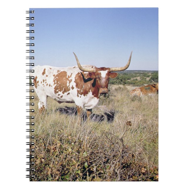 Texaslonghorn-Zucht (Foto) Notizblock (Vorderseite)