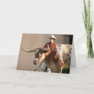 Texaslonghorns-Postkarte Karte