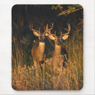 TexasWhitetails Mousepad
