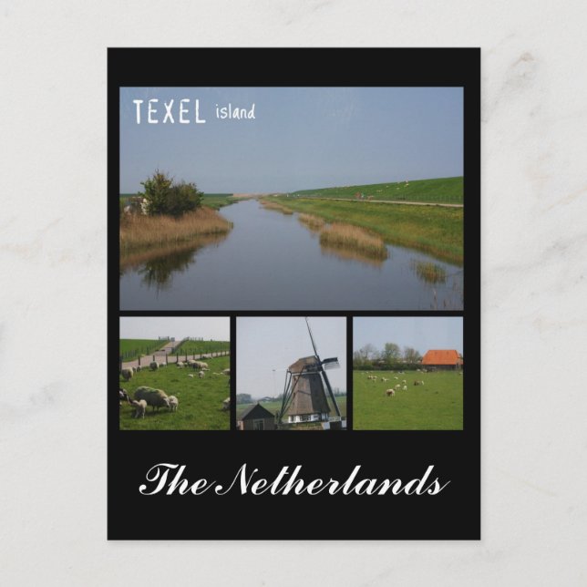 Texel Island Postkarte (Vorderseite)