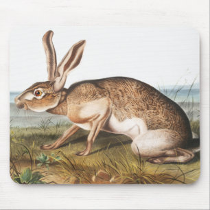 Texian-Hase (Lepus Texianus) Kaninchen-Illustratio Mousepad