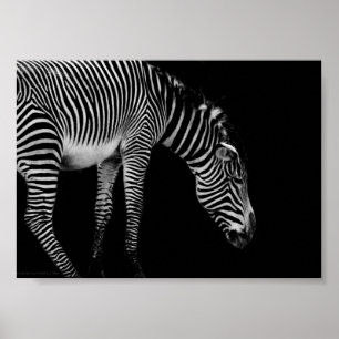 Textausdruck Poster