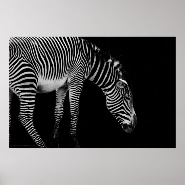 Textausdruck Poster (Vorne)