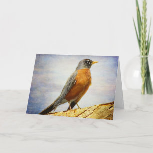 Texted American Robin Greeting Card Karte