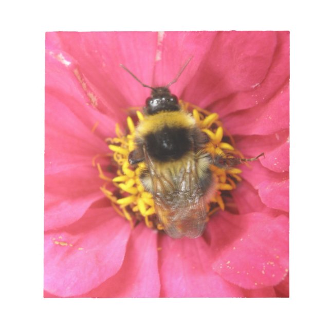 Textfeld Notizblock (Vorderseite)