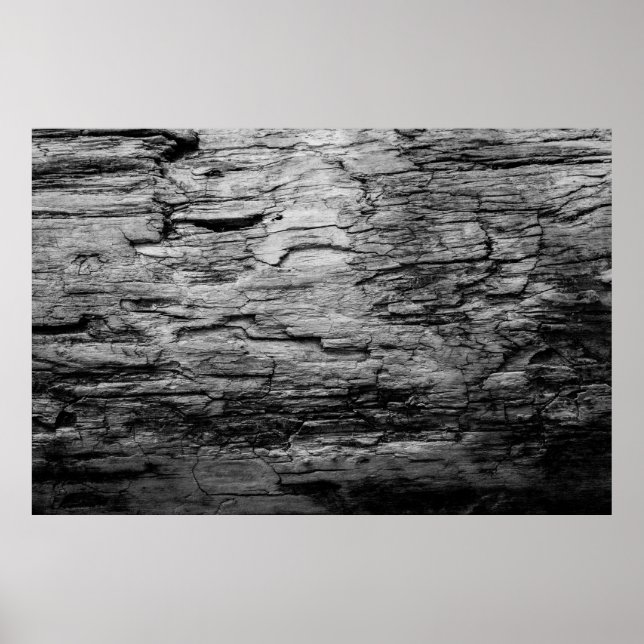 Textur schwarz-weißer Holzbaum Poster (Vorne)