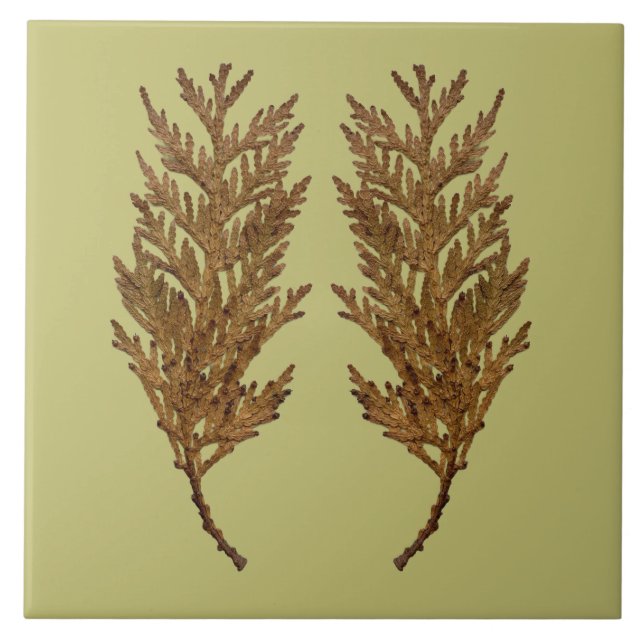 Textural Treasures of Winter on Ceramic Tile - D3 Fliese (Vorderseite)