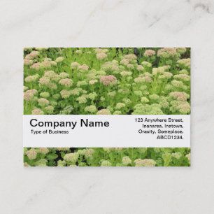 Texturband V2 - Blauer Herbst Visitenkarte