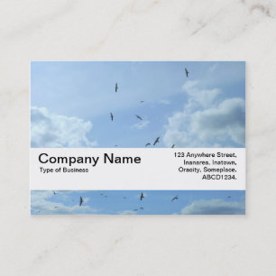 Texturband V2 - Himmel und Möwen Visitenkarte