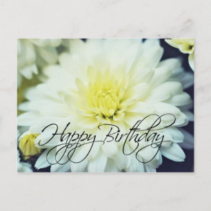 Textured Chrysanthemum Happy Birthday Postkarte